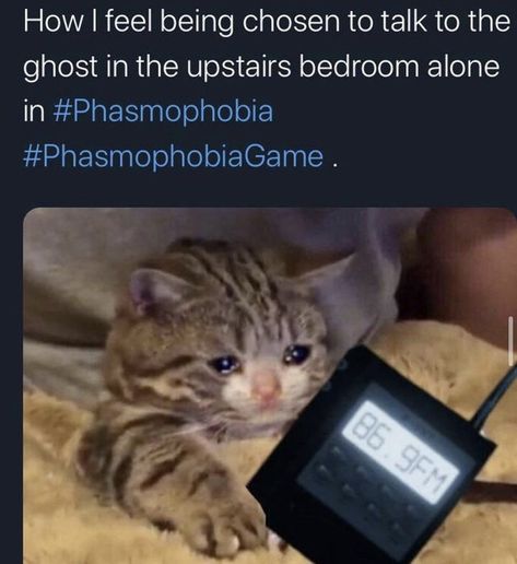 Phasmophobia Art, Phasmophobia Funny, Phasmophobia Game, The Memes, English Jokes, Youtube Search, Text Memes, Ghost Hunters, Ghost Hunting