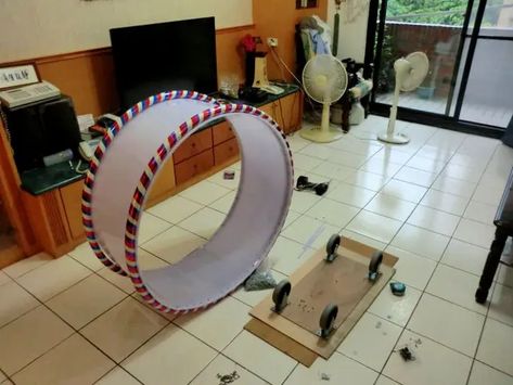 10 Best DIY Cat Wheel Plans with Detailed Instructions Cat Exercise Wheel Diy, Katt Diy, Cat Wheel, Cat Exercise Wheel, Chat Diy, Hamster Wheel, Diy Cat Toys, Cat Exercise, Cat Towers