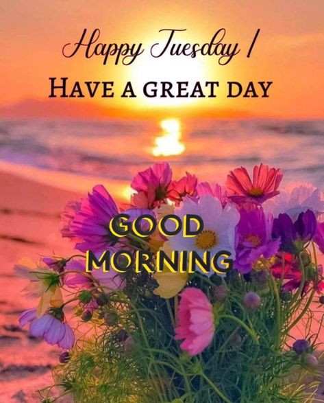 Tuesday Morning Images, Tuesday Morning Greetings, Happy Tuesday Images, Inspirational Friend Quotes, Happy Tuesday Morning, Tuesday Images, Good Morning Happy Saturday, Good Morning Beautiful Gif, Beautiful Morning Quotes