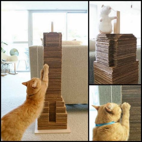 Turn Empty Cardboard Boxes Into A Skyscraper Cat Scratching Post Outdoor Cat House Diy, Diy Jouet Pour Chat, Diy Cat Scratching Post, Diy Cat Tent, Diy Boxes, Chat Diy, Cat Tree Scratching Post, Cat Castle, Cardboard Cat Scratcher