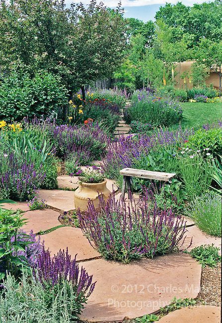 Xeriscape Landscaping, Landscape Gardening, Drought Tolerant Garden, Drought Tolerant Landscape, Desert Garden, Have Inspiration, Landscape Architects, Mediterranean Garden, The Secret Garden