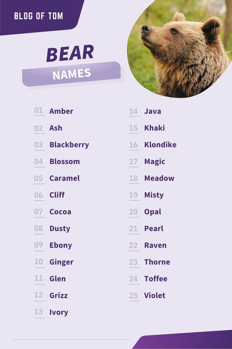 Names That Mean Bear, Teddy Bear Names Ideas, Names For Teddy Bears, Fantasy Town Names, Famous Bears, Rpg Names, Berry Names, Polar Bear Names, Yellow Care Bear