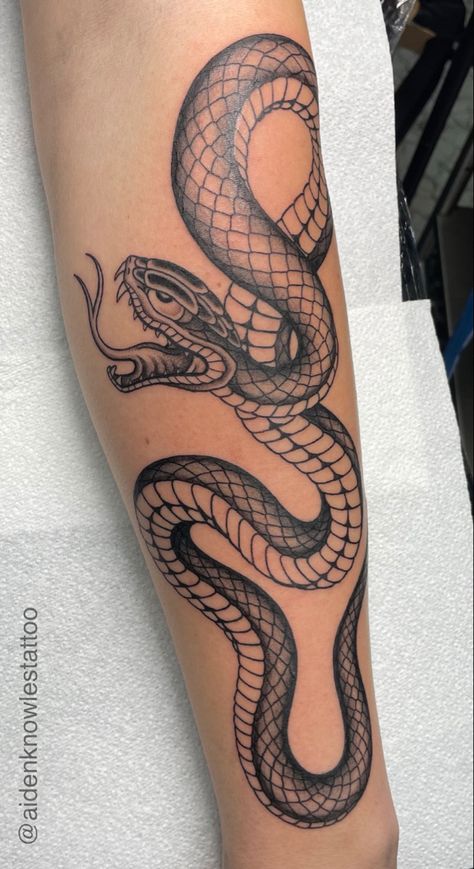 Traditional Japanese Tattoo Flash, Traditional Snake Tattoo, Japanese Snake Tattoo, Traditional Black Tattoo, Ouroboros Tattoo, Shin Tattoo, Traditional Tattoo Inspiration, Forarm Tattoos, Traditional Tattoo Sleeve