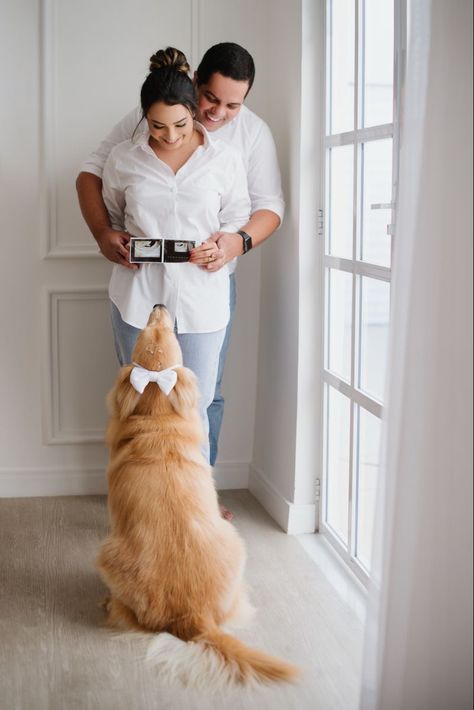 Casual Maternity Pictures With Dog, Pregnancy Announcement Photos With Dogs, Baby Announcing Ideas With Dog, Pregnancy Announcement With Dogs, Baby Announcement With Dog, Pregnancy Announcement With Dog, Pet Pregnancy Announcement, Pregnancy Reveal Photos, Pregnancy Announcement Pictures