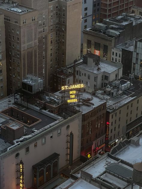 New York Rooftop, Architecture Reference, City Development, Roof Cap, Background Reference, New York Buildings, Building Roof, City Shorts, 3d Building