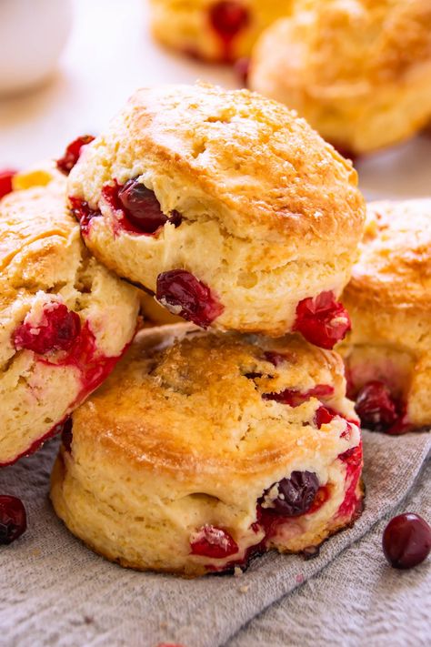 Easy Cranberry Yogurt Scones {Fail Proof Recipe!} | Foodelicacy Cranberry Yogurt, Yogurt Scones, Cranberry Scone, Scone Dough, Cranberry Cinnamon, Cranberry Jelly, Cranberry Orange Scones, Cranberry Scones, Chocolate Scones