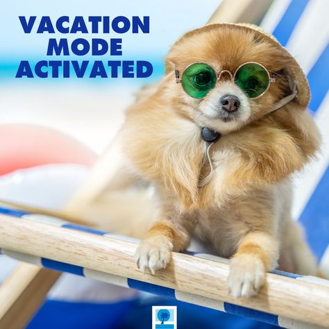 All it takes is the right beach hat and some cute sunglasses. 😎 Mood Meme Funny, Mirrored Sunglasses For Vacation Beach Season, Funny Beach Pictures, Pictures With Dogs, Topsail Island Nc, Vacation Meme, Beach Memes, Going On Vacation Meme, Need A Vacation Meme Funny