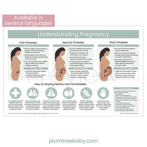 This brand new poster provides an over of what to expect for each trimester, tips for staying healthy and warning signs for pregnancy. This poster is perfect to hang in exam rooms or to introduce clients to pregnancy.  The Understanding Pregnancy poster is included in the Childbirth Education Poster Set.  See Specifica Prenatal Classes, Pregnancy Info, Childbirth Education, Pregnancy Information, Pregnancy Signs, Prenatal Care, Second Trimester, Health Planner, Staying Healthy