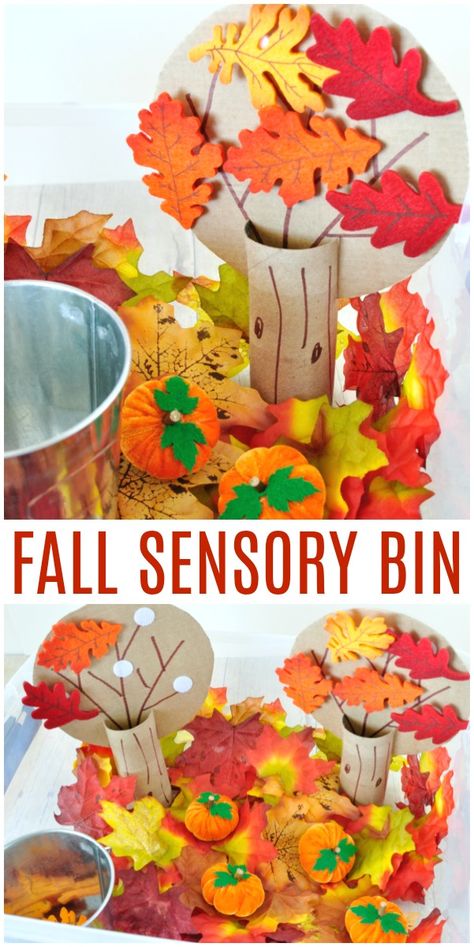 Infant Fall Activities Daycare, Fall Preschool Sensory Bin, One Year Old Fall Activities, Sensory Leaf Activities, Leaf Sensory Activities, Fall Sensory Bin Toddlers, Fall Leaf Sensory Bin, Leaves Sensory Bin, Leaf Sensory Bin