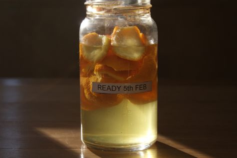 Love Your Leftovers - Citrus. Peelings, Pith & Pips | Thrifty Lesley Lemon Pith Uses, Homestead Food, Whole Orange Cake, Dried Orange Peel, Lemon Syrup, Orange Peels, Candied Orange Peel, Preserved Lemons, Infused Olive Oil