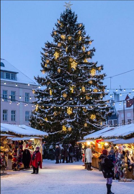 Tallinn, Estonia Christmas Tree Light Up, Christmas In Europe, Best Christmas Markets, Christmas Markets Europe, Dreamy Whites, Tallinn Estonia, Christmas Markets, Christmas Travel, Innsbruck