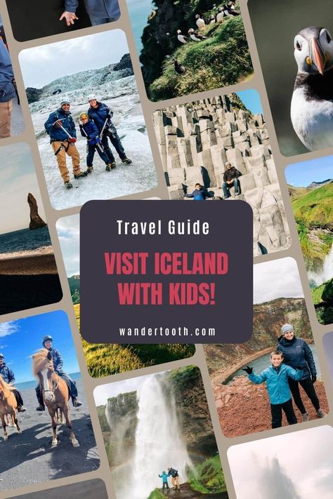 Here are all the details from our family vacation to Iceland including where to stay, the best activities to do with kids, and more! Iceland With Kids, Activities To Do With Kids, Seljalandsfoss Waterfall, Beach Suite, Skogafoss Waterfall, Diamond Beach, Visit Iceland, Black Sand Beach, Activities To Do