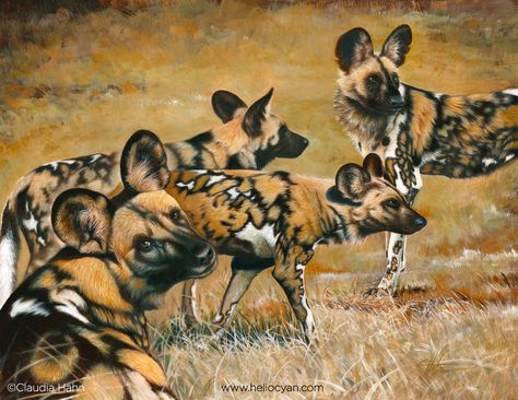 Dog Fursona Art, African Painted Dog, Painted Dogs, Painted Dog, Wild Dog, African Wild Dog, Canine Art, Wildlife Paintings, Wildlife Artists