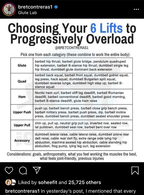 Progressive Overload Training Program For Women, Progressive Overload Workout Plan, Progressive Overload Training Women, Bret Contreras, Progressive Overload, Workout Program Gym, Workout Splits, Lifting Workouts, Weight Training Workouts