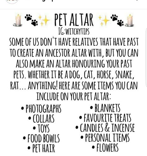 Pet Memorial Altar, Pet Altar Ideas, Pet Witchcraft, Dog Altar Ideas, Pet Altar, Witchy Corner, Cool Candles, Relaxing Candle, Pagan Traditions