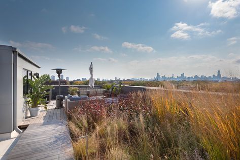 Lincoln Park Residences | Chicago | Norweta Row Roof Garden Architecture, Branch Chair, Luxury Rooftop, Rooftop Gardens, Garden Architecture, Rooftop Deck, Rooftop Garden, Diy Pergola, City Garden