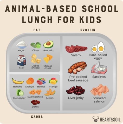 Animal based school lunch for kids Kids Lunch Box Meals, Lunch Ideas For Kids, Animal Based, Packed Lunches, Whole Food Diet, Diet Snacks, Yes It Is, Lunch Recipes Healthy, Balanced Meals