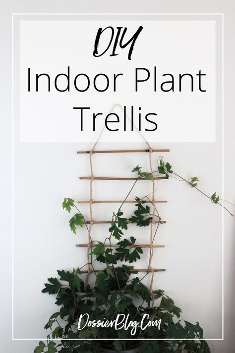 DIY Indoor Plant Trellis from Bamboo & Rope | Dossier Blog Indoor Climbing Plants, Wall Climbing Plants, Climbing Plants Trellis, Diy Planters Indoor, Indoor Plant Trellis, Indoor Vines, Indoor Trellis, Plant Trellis, Trellis Ideas