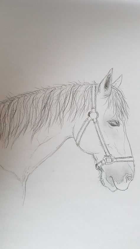 Drawing Horses Sketches, Drawing Ideas Horse, Horse Drawings Pencil, Horse Drawing Simple, Simple Horse Drawing, Horse Drawing Ideas, Horse Sketch Art, Easy Horse Drawing, Horse Doodle