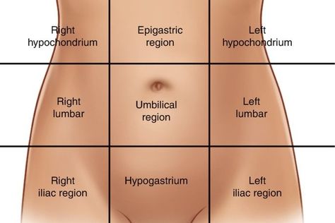 The skin of the abdomen is divided into 9 regions, called abdominals: 3 median (epigastrium, peri-umbilical region and hypogastrium)... Abdominal Regions, Ovulation Pain, Sigmoid Colon, Brain Surgeon, Natural Face Cleanser, Nursing School Studying, Learning Techniques, Abdominal Pain, Acupressure