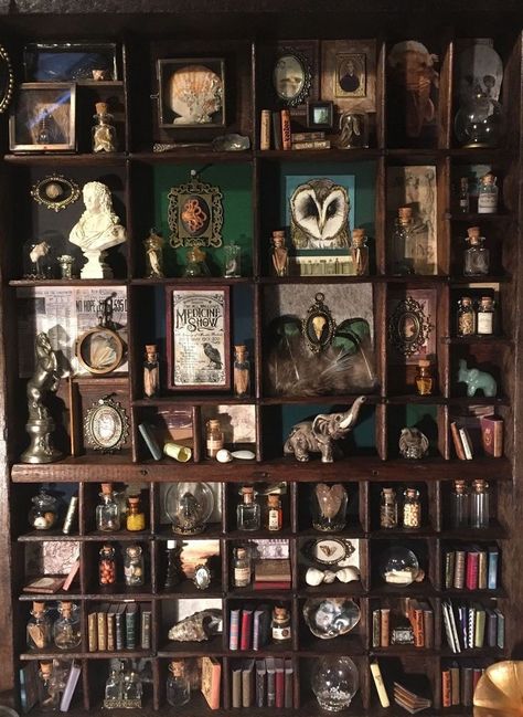 Curio Cabinet Styling Ideas, Dark Old World Decor, Gothic Library Decor, Oddities And Curiosities Aesthetic, Capturing Home Show, Dark Academia Shelves, Displaying Crystals In Home, Dark Academia Classroom Aesthetic, Witchy Apothecary Decor