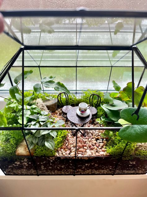 House Terrarium Ideas, Tiny Greenhouse Ideas, Cottagecore Terrarium, Jumping Spider Terrarium, Cute Terrarium, Spider Terrarium, Snail Terrarium, Greenhouse Terrarium, Closed Terrarium Plants