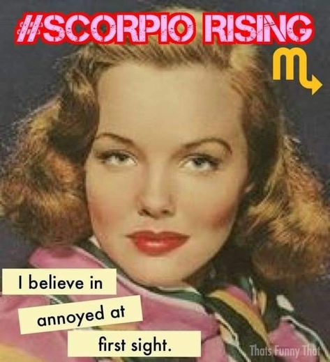 ❤️- The Cosmic🦉 Classical Quotes, Retro Sayings, Vintage Sayings, Sarcastic Ecards, Anne Taintor, Truths Feelings, Work Quotes Funny, Funny Quotes Sarcasm, Memes Sarcastic