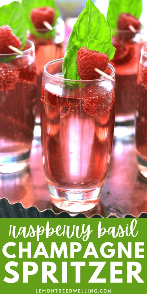 Rosé champagne combined with the delicious flavors of raspberry and basil in a sweet, refreshing summer cocktail that's perfect for any celebration! Raspberry Basil Cocktail, Basil Cocktail, Rosé Champagne, Cocktail Drinks Alcoholic, Rose Flavored, Refreshing Summer Cocktails, Xmas 2024, Rose Champagne, Summer Cocktail