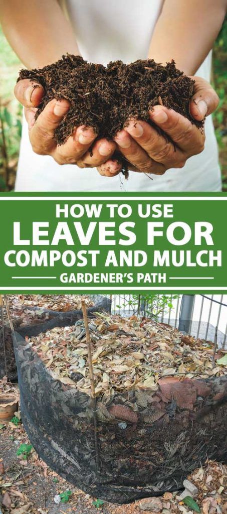 Leaf Compost, How To Start Composting, Start Composting, Making A Compost Bin, Make Compost, Leaf Mulch, Composting Methods, Diy Compost, How To Make Compost