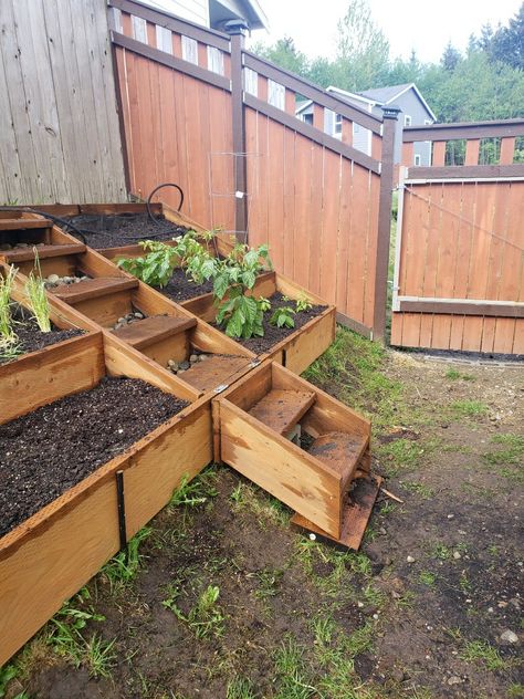 Hillside raised garden bed with bottom fold up stairs. Raised Garden Bed On Hill, Sloped Raised Garden Beds, Tiered Vegetable Garden Hillside, Hillside Raised Garden Beds, Raised Garden Beds On A Hill, Raised Garden Bed On Slope, Sloped Vegetable Garden, Garden On A Hill Sloped Yard, Hill Side Garden