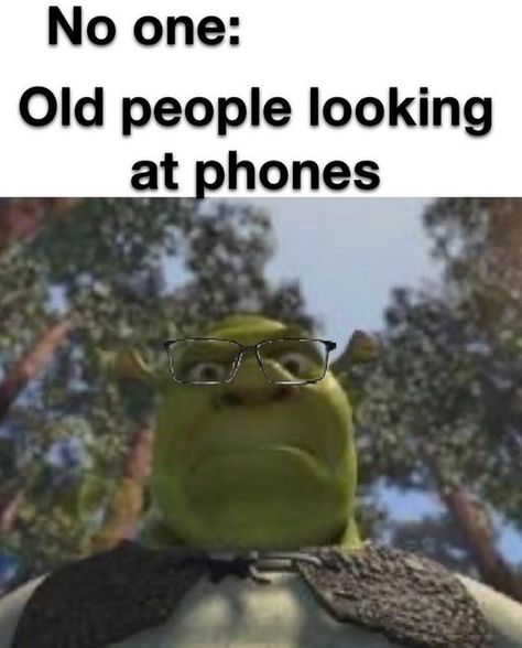 - - - - #memes #funny #humor #lol #comedy #hilarious #dankmemes #memeoftheday #instafunny #laughoutloud #muppets Hilarious Memes, Relatable Post Funny, Very Funny Jokes, Very Funny Pictures, Extremely Funny Jokes, Real Funny Jokes, Some Funny Jokes, Really Funny Joke, Old People