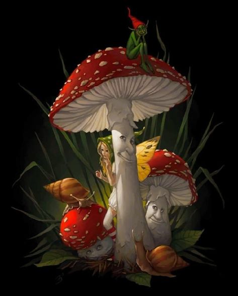 Fantasy shrooms Mushroom Pictures, Fairy Drawings, Arte Do Kawaii, Mushroom Drawing, Mushroom Fairy, Fairy Pictures, Mushroom Art, Fantasy Fairy, Fairy Angel