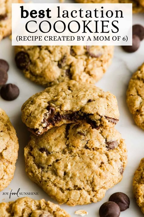 This easy Lactation Cookies recipe is full of nutritious ingredients that help increase milk supply without sacrificing on taste or texture. These breastfeeding cookies are crispy on the outside and chewy in the middle - the perfect treat to make for new moms. Lactation Cookie Dough To Freeze, Easy Lactation Cookies, Lactation Recipes Easy, Breastmilk Cookies, Dairy Free Lactation Cookies, Breastmilk Recipes, Best Lactation Cookies, Breastfeeding Cookies, Lactation Cookies Recipe