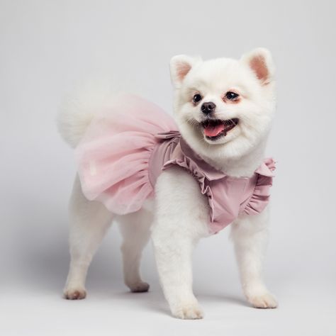 Dogs Wedding, Pink Dog Dress, Dog Wedding Dress, Cat Winter, Puppy Dress, Pet Sweater, Pet Dress, Dog Dress, Puppy Clothes