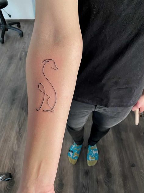 Small Greyhound Tattoo, Greyhound Ear Tattoo, Grey Hound Tattoo, Whippet Tattoo Ideas, Lurcher Tattoo, Iggy Tattoo, Italian Greyhound Tattoo, Greyhound Tattoo Ideas, Sighthound Tattoo