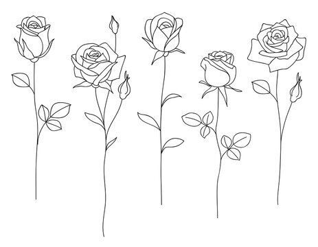 Line Drawing Tattoos, Rose Line Art, Rose Flower Tattoos, Rose Drawing Tattoo, Rose Tattoos For Women, Line Art Vector, Flower Icons, Rose Drawing, Roses Drawing