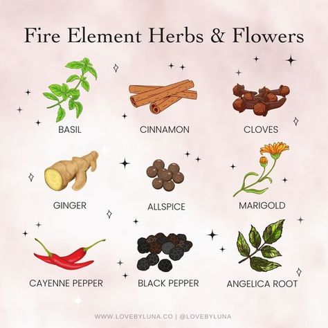 Love By Luna® on Instagram: "Fire Element Herbs & Flowers 🔥 Herbs, spices and flowers associated with the Fire Element bring a powerful energy to your magick. ⁠ ⁠ This element is connected to passion, strength, determination and impulse, it helps to cleanse, banish and protect. Fire is also the element of confidence and fast action, a crucial ingredient in a lot of spellwork.⁠ ⁠ A lot of plants have more than one elemental influence, and we are going to look at those that have one or more quali Herbs Of Aries, Eclectic Paganism, Magic Spices, Magick Correspondences, Fire Witchcraft, Fire Magick, Wiccan Tips, Banishing Negative Energy, Herb Healing