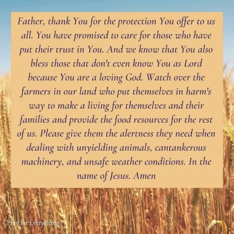 Harvest Prayer, Crop Field, God's Blessings, Powerful Prayers, Birds In The Sky, Whole Earth, We Are All Connected, Prayer Times, A Farmer