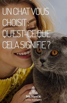 Animals Friends, Animals And Pets, Spirituality, Gif, Kitty, France, Animals, Art