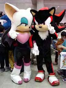 Sonic Costume Characters or Mascots Rouge Shadow, Sonic Costumes, Shadow Costume, Sonic Shoes, Sonic Costume, Shadow And Rouge, Iconic Halloween Costumes, Shadow Sonic, Sonic & Knuckles