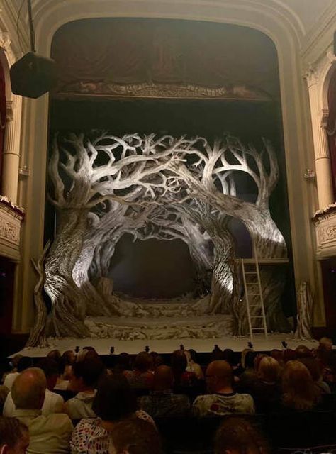 Forest Stage Design Theatre, Theatre Decorations Stage, Simple Set Design Theatre, Into The Woods Jr Set Design, Alice In Wonderland Set Design Theatres, Theater Decor Stage Set Design, Shoebox Theatre, Brecht Theatre, Stage Set Design Backdrops