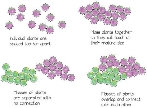 Landscape Design: Arranging Plants in the Landscape -- Figure 3. Cluster individual plants; mass clusters of plants to fill beds. Mass Plantings Landscape Design, Free Landscape Design, Landscape Architecture Diagram, Hill Landscaping, Backyard Plans, Landscaping On A Hill, Florida Landscaping, Backyard Plan, Homestead Gardens