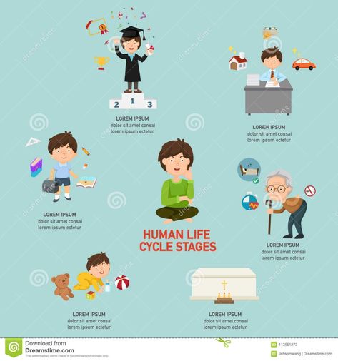 Human Life Cycle Stages Infographic Stock Vector - Illustration of preschool, lifestyle: 113551273 Cycle Stages, Human Life Cycle, Life Stages, Life Cycle, Life Cycles, Stock Vector, Preschool, Cycling, Vector Illustration