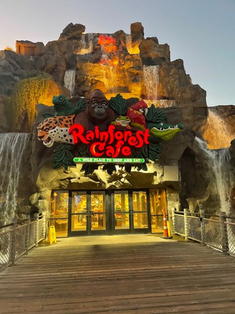 The best 21st birthday. The Rainforest Cafe in galveston even has a little water ride. Super fun Galveston vacation spot Zoo Restaurant, Theme Park Design, Rainforest Restaurant, Rainforest Cafe Aesthetic, Orlando Florida Restaurants, Water Park Ideas, Forest Cafe, Zoo Park, Rainforest Cafe