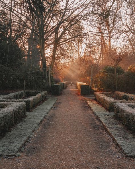 Early Morning Aesthetic, Morning Frost, Morning Photography, Frosty Morning, Eliza Doolittle, Cold Morning, Bright Winter, Winter Mornings, Very Cold