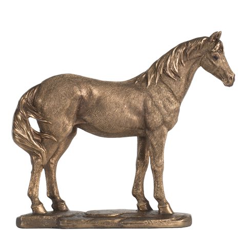 Chartwell Home Bronze Horse Statue | Temple & Webster Vintage Home Library, Elegant Horse, Equestrian Statue, Bronze Colour, Horse Statue, Expressive Eyes, Equestrian Decor, Gold Horse, A&b Home