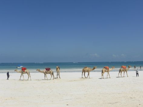 Diani Beach Kenya, Diani Beach, Volunteer Travel, Mombasa, Gap Year, E Liquid, Kite Surfing, Dream Destinations, Indian Ocean