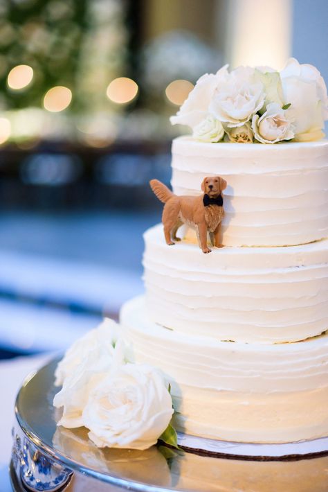 Cake with Figurine of Dog on Tier  Photography: Averyhouse Read More: http://www.insideweddings.com/weddings/chic-summer-wedding-at-a-natural-history-museum-in-chicago/1361/ Golden Retriever On Wedding Cake, Wedding Cake Dog Peeking, Grooms Cake With Dog, Wedding Cake With Dog Eating, Wedding Cakes Dog, Groom Cakes, Dog Wedding Cake, Chandelier Cake, Dog Cake Topper Wedding