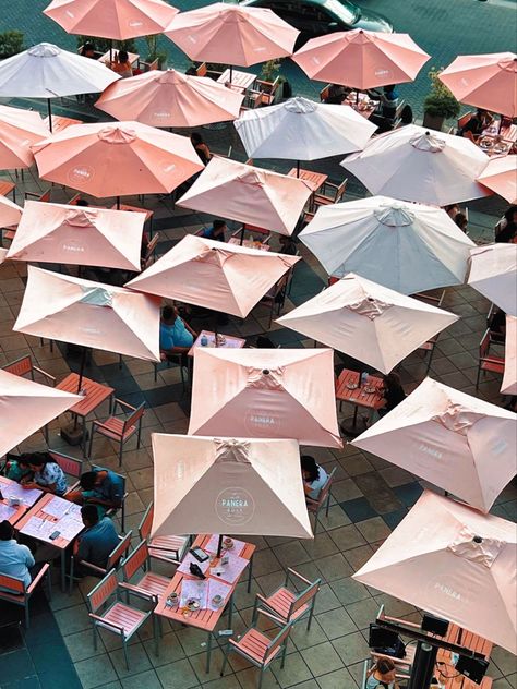 umbrellas at a cafe in Argentina Cafe Umbrella, Italy Restaurant, South America, Umbrella, Cafe, Restaurant, Italy, Mexico, Argentina