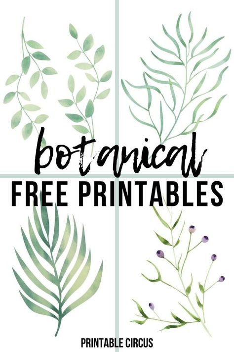 summer botanical free printables - download and print these FREE botanical prints for summer. Great for updating gallery walls and to add to summer home decor. Summer greenery and leaf prints. Free Botanical Prints, Botanical Printables, Wall Art Printables, Flamingo Wall Art, Free Wall Art, Summer Wall Art, Fruit Wall Art, Free Printable Wall Art, Free Printable Art